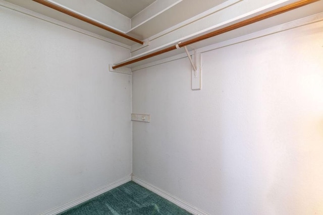 600 Hanover Dr, Waxahachie, TX 75165 - spacious closet with carpet