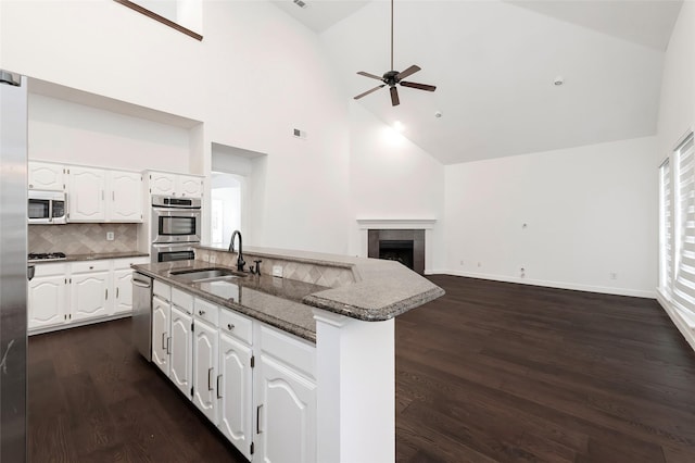 7100 Oakbrook Dr, Plano, TX 75025 - kitchen with appliances with stainless steel finishes, a sink, high vaulted ceiling, ceiling fan, and dark wood finished floors