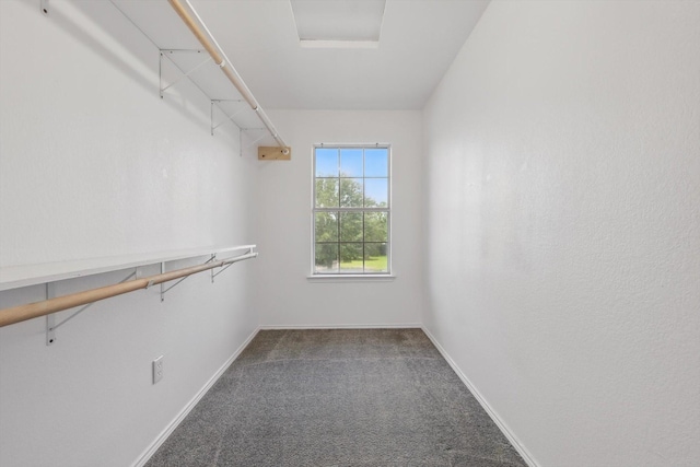 walk in closet featuring carpet