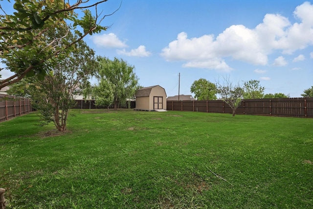 view of yard with a storage shed and an outbuilding