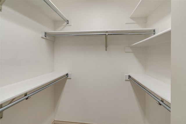 view of walk in closet