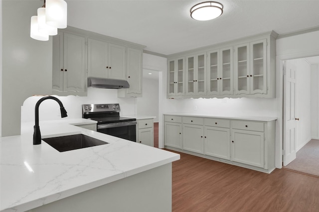 1501 W Day St, Denison, TX 75020 - kitchen with stainless steel electric range oven, a sink, under cabinet range hood, and light wood-style floors