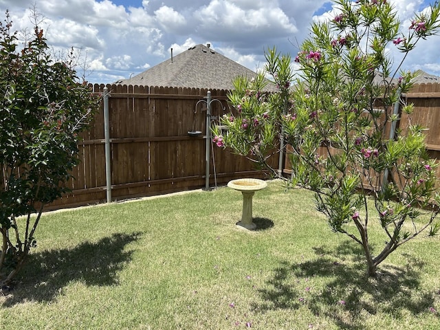 14601 Donner Trl, Fort Worth, TX 76262 - view of yard