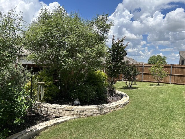 14601 Donner Trl, Fort Worth, TX 76262 - view of yard