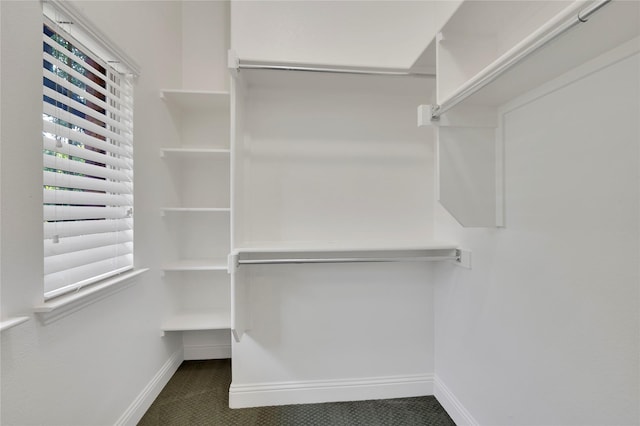 3706 Plum Vista Pl, Arlington, TX 76005 - view of walk in closet