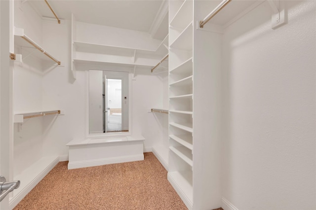 3706 Plum Vista Pl, Arlington, TX 76005 - walk in closet featuring carpet