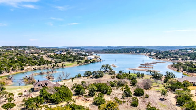 aerial view of a large body of water