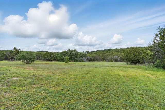 view of grassy yard with a rural view and a view of trees
