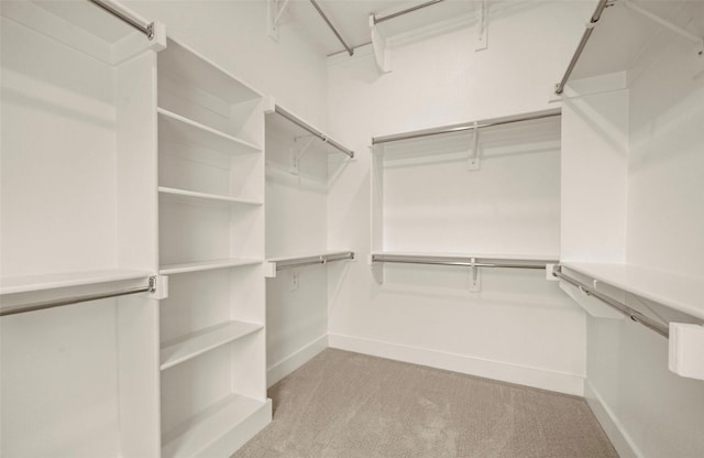 4702 Smokey Quartz Ln, Arlington, TX 76005 - spacious closet featuring carpet floors