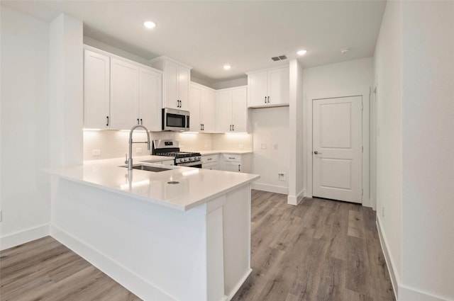 4702 Smokey Quartz Ln, Arlington, TX 76005 - kitchen with appliances with stainless steel finishes, a sink, light wood-style floors, a peninsula, and recessed lighting