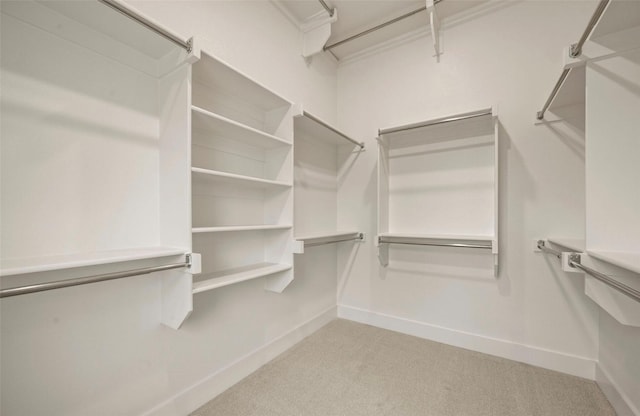 4732 Smokey Quartz Ln, Arlington, TX 76005 - spacious closet featuring light carpet