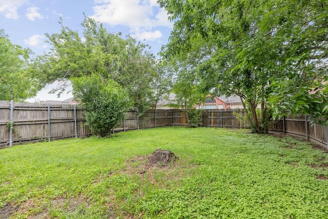1017 Westminster Ln, Garland, TX 75040 - view of yard
