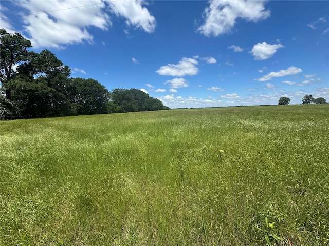TBDLOT1 County Road 4210, Kerens, TX 75144