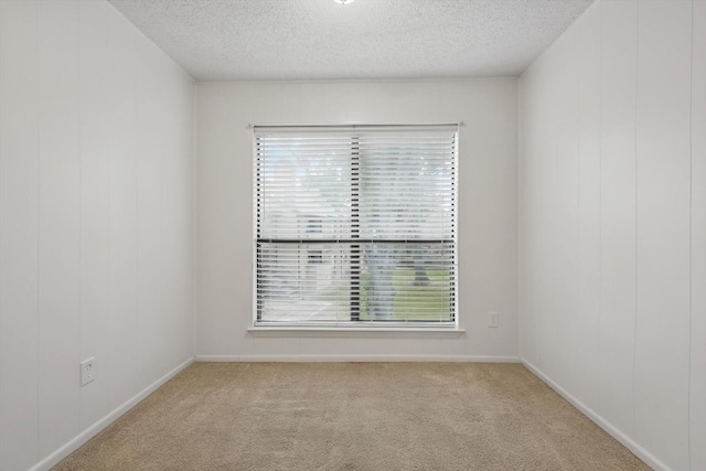 2000 Willoughby Ln Unit 5520, Arlington, TX 76011 - empty room featuring a textured ceiling, carpet flooring, plenty of natural light, and baseboards