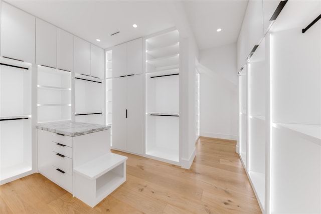 walk in closet featuring light wood-style floors
