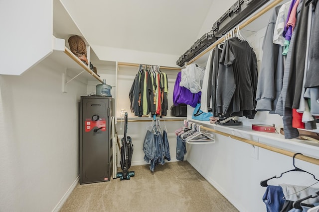 spacious closet with light carpet