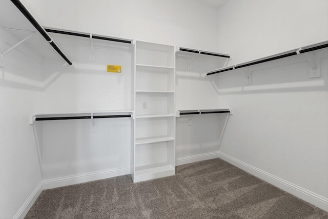 walk in closet with carpet