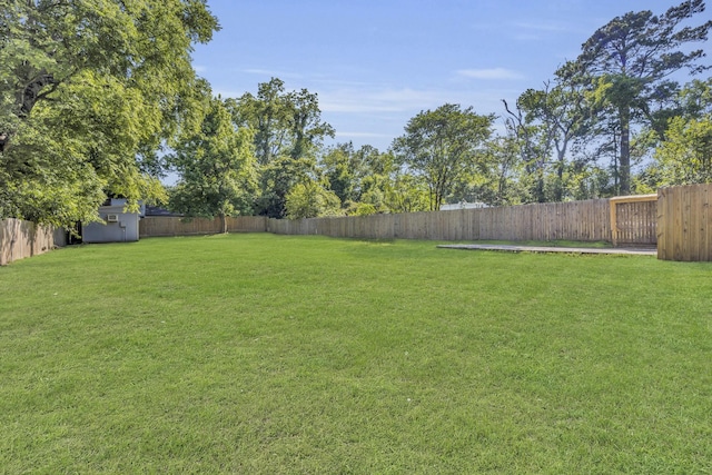1213 E Laurel St, Tyler, TX 75702 - view of yard featuring a storage shed and an outdoor structure