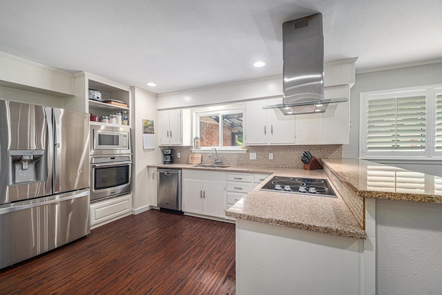 kitchen with appliances with stainless steel finishes, a sink, island range hood, dark wood-style floors, and backsplash