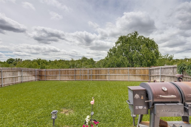 4012 Summerhill Ln, Fort Worth, TX 76244 - view of yard