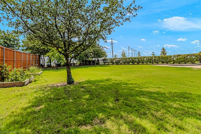1837 Trail Dr, Rockwall, TX 75087 - view of yard