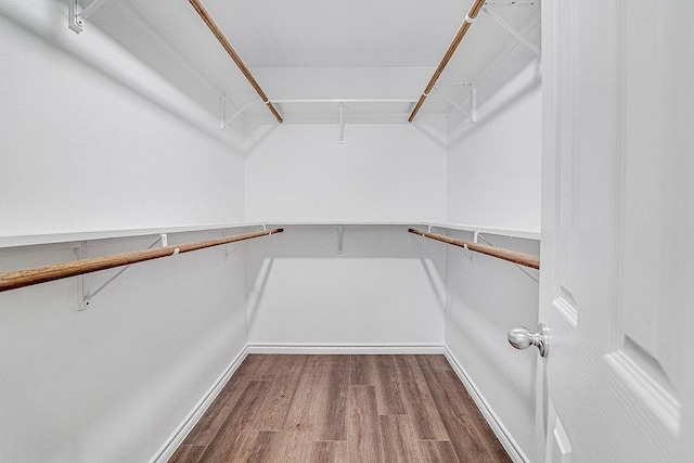 1021 Pangburn St, Grand Prairie, TX 75051 - walk in closet featuring wood finished floors and attic access