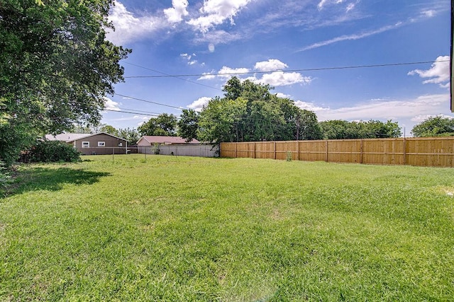 1021 Pangburn St, Grand Prairie, TX 75051 - view of yard