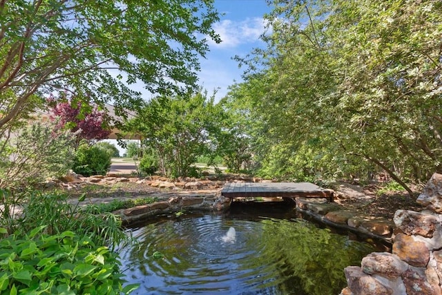 3439 Willow Branch Rd, Mcgregor, TX 76657 - exterior space with a garden pond