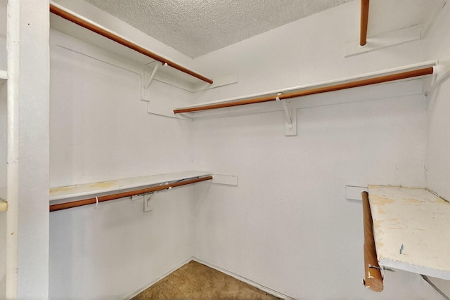 1523 Allen Dr, Cedar Hill, TX 75104 - walk in closet featuring carpet