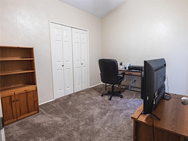 404 Jones St, Cedar Hill, TX 75104 - home office featuring carpet flooring