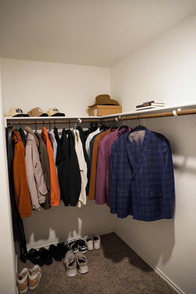 3128 Bettin Dr, Mesquite, TX 75126 - spacious closet with carpet
