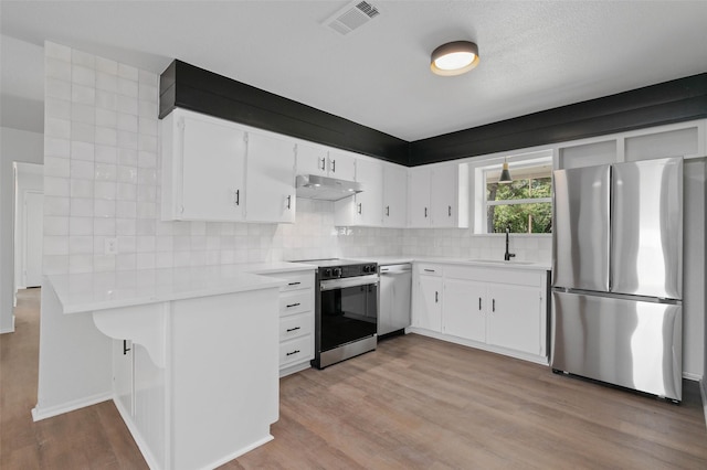 698 County Road 3825, Bridgeport, TX 76458 - kitchen featuring appliances with stainless steel finishes, light countertops, decorative backsplash, light wood-style floors, and a sink