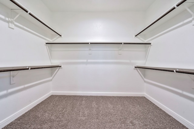 15720 Redgrave Dr, Fort Worth, TX 76247 - spacious closet with carpet floors