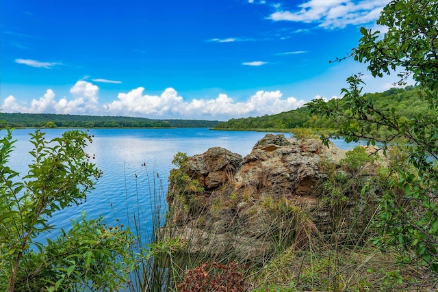 water view with a heavily wooded area