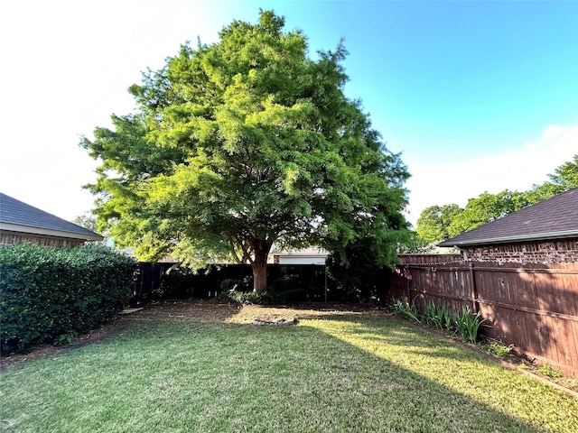 10908 Brandenberg Dr, Frisco, TX 75035 - view of yard