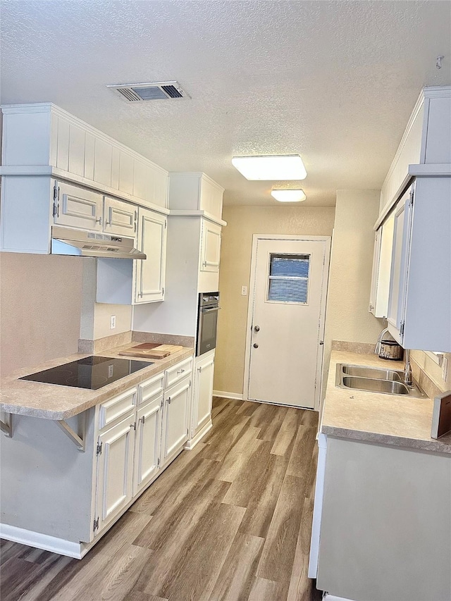 3317 Hummingbird, Denton, TX 76209 - kitchen with wall oven, black electric cooktop, under cabinet range hood, wood finished floors, and a sink