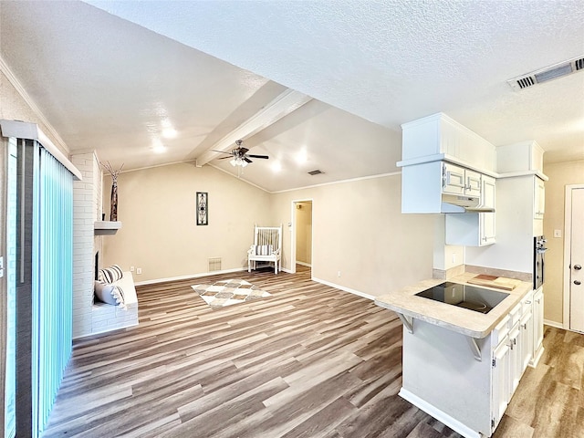 3317 Hummingbird, Denton, TX 76209 - kitchen featuring black electric stovetop, light wood-style flooring, under cabinet range hood, baseboards, and a textured ceiling