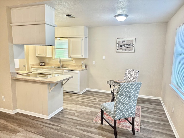 3317 Hummingbird, Denton, TX 76209 - kitchen featuring white dishwasher, light wood-type flooring, a sink, electric cooktop, and a textured ceiling