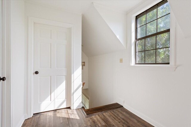 807 Berger Rd, West, TX 76691 - bonus room featuring dark wood-style floors and baseboards