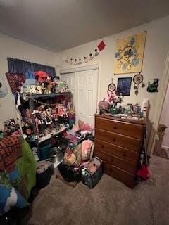 bedroom featuring carpet floors