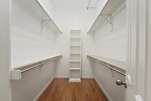 spacious closet featuring dark wood-type flooring