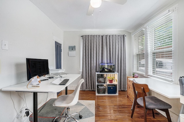 office space featuring wood finished floors and a ceiling fan
