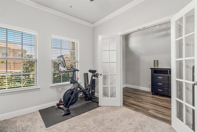 623 Comal Dr, Crandall, TX 75114 - workout room with french doors, ornamental molding, plenty of natural light, baseboards, and a ceiling fan