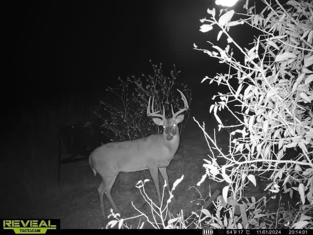 TBD Hcr-3112, Abbott, TX 76621