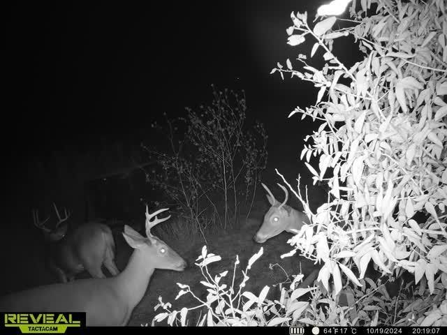 TBD Hcr-3112, Abbott, TX 76621