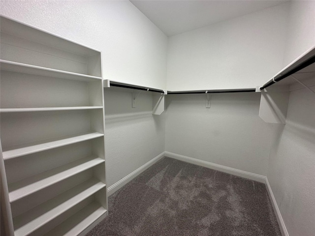 walk in closet with dark colored carpet