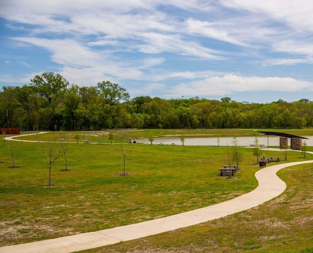 7500 W Fork Ln, Mckinney, TX 75071 - view of property's community with a water view and a yard
