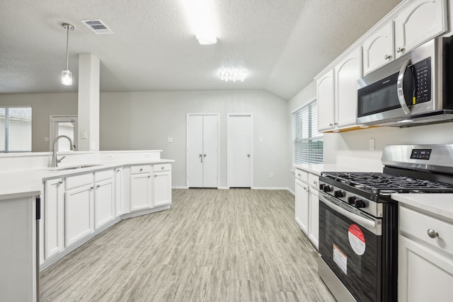 549 Seminole Trl, Murphy, TX 75094 - kitchen with appliances with stainless steel finishes, a textured ceiling, a sink, vaulted ceiling, and light wood-type flooring