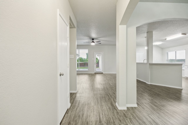 549 Seminole Trl, Murphy, TX 75094 - hall with a textured ceiling, wood finished floors, baseboards, and healthy amount of natural light