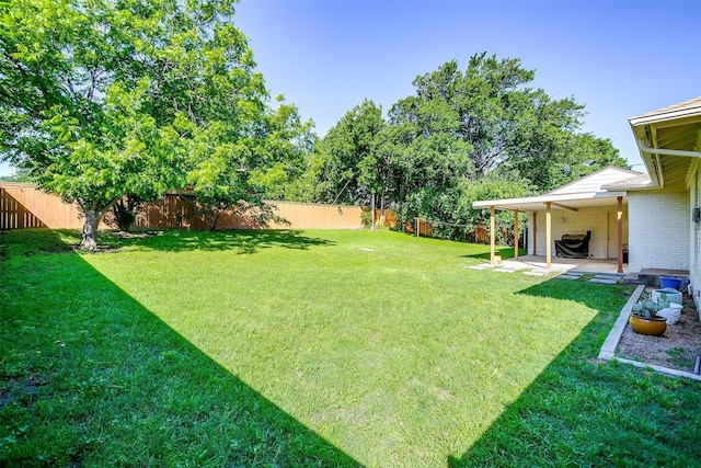 view of yard featuring a patio